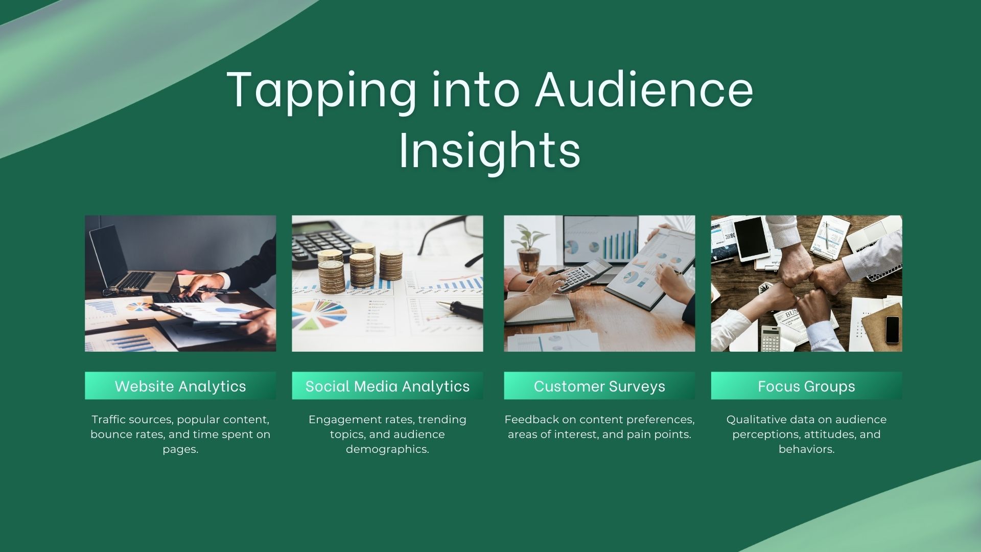 tapping into audience insights